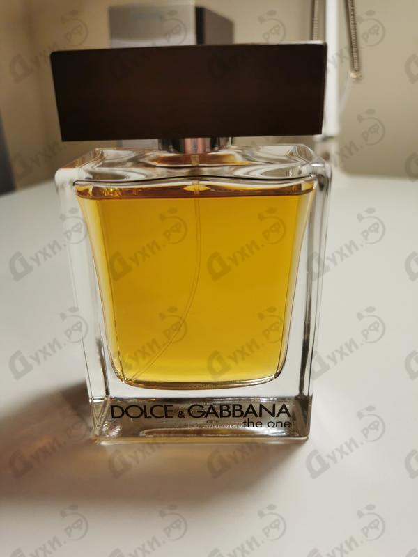 dolce gabbana the one harga